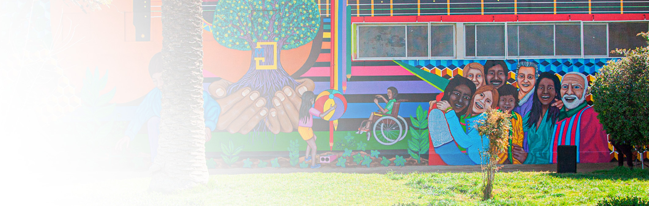 banner2_nuevo2
