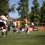 Copa Falabella 2017
