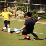 Copa Falabella 2017