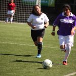 Copa Falabella 2017