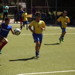 Copa Falabella 2017
